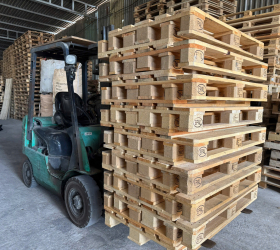 pallet gỗ đức hòa