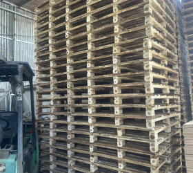 pallet gỗ tràm tân uyên giá rẻ