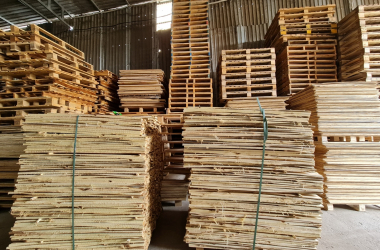 Dịch vụ Cho Thuê Pallet Các Loại - Công ty Pallet Minh Phan, Tân Uyên, Bình Dương